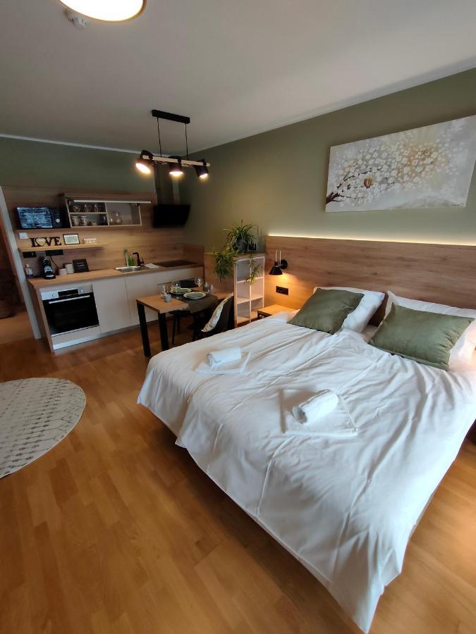 Bed & Breakfast Rezidenca Pipanova Ljubljana Kültér fotó