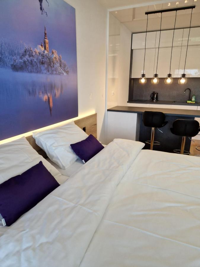 Bed & Breakfast Rezidenca Pipanova Ljubljana Kültér fotó